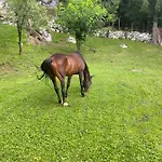 Casa vacanze Posestvo Tmzek Bovec