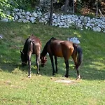 Posestvo Tmzek * Bovec
