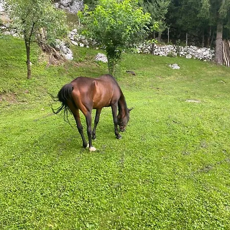 Počitniška hiša Posestvo Tmzek Bovec