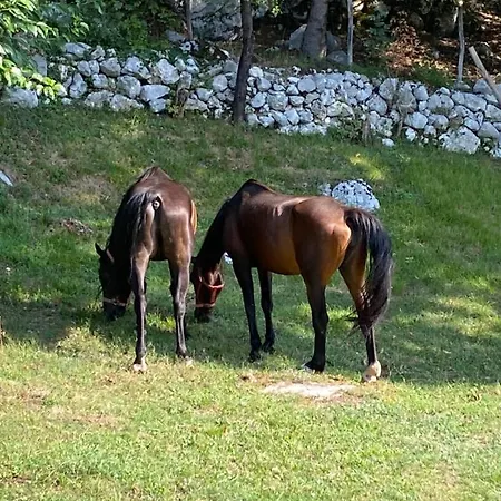 Posestvo Tmzek * Bovec