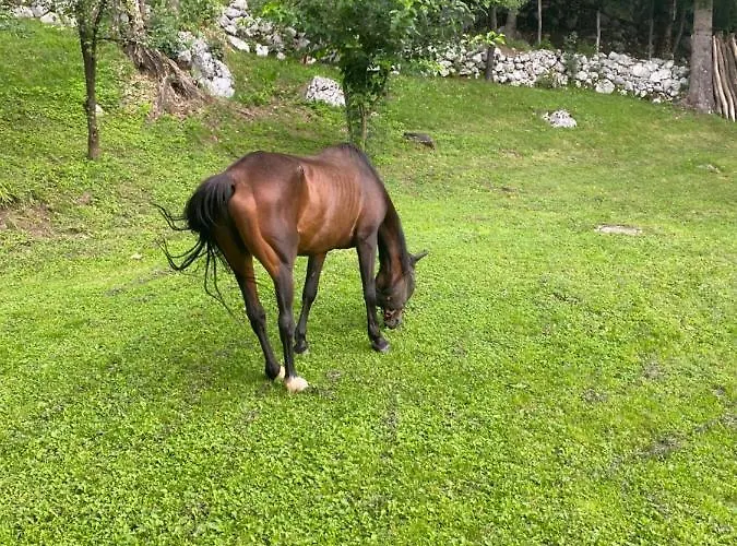 בית נופש Posestvo Tmzek בובק